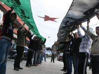 أكراد سوريا (٩٪): تدعم أكبر الأقليات عددا في سوريا الثورة حيث عانى الأكراد من كونهم لا يملكون أرقاما وطنية. حاول الأسد استمالتهم إلى جانبه يإعطائهم حقوق المواطنة مما أحدث انقسامًا في مواقفهم تجاه النظام.