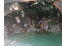 October 2000, al-Qaeda succeeded in bombing a U.S. warship with the USS Cole bombing. 19 dead and 39 injured.