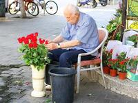 Israel flowers Valentine