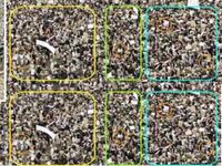 Published this clearly photoshopped photo to show Saleh has supporters. This during a rival rally staged by the President for his Friday of Forgiveness, 26 March, otherwise called Friday of Departure and Friday of Uncertainty by opponents.