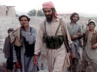 OBL's favorite hobby was working the land and raising the best corn crop and the largest sunflower plants. No wonder, hidden away from technology and people - nature was his best bet!