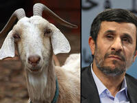 Ahmadinejad goat