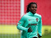 لاعب الوسط البرتغالي ريناتو سانشيس (18 عاماً): انتقل إلى بايرن ميونخ مؤخراً مقابل 35 مليون يورو قادماً من بنفيكا، يرشحه المراقبون لخلافة كريستيانو رونالدو، يتميز بانضباطه وقوته ومهارته في التمرير، إضافة لقدرته على تأدية أدوار دفاعية وهجومية.