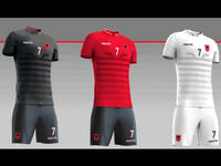 المجموعة الأولى: ألبانيا