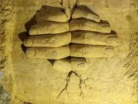 Al-Ghouta and Jubar tunnels.(Facebook)