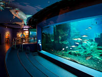 Istanbul Aquarium. (istanbulakvaryum.com)