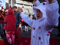 San Francisco city officials held opening ceremonies to usher in the Chinese New Year and the month-long celebration of the Year of the Pig. 
Justin Sullivan/Getty Images/AFP 