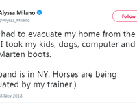 النجمة أليسا ميلانو: طلبت المساعدة لإخراج جيادها الخمسة من المنطقة، وقالت: "أخذت أبنائي وكلابي وجهاز الكمبيوتر وحذاء من ماركة دوك مارتنز".