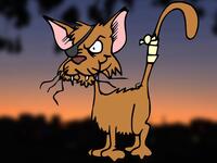 The feral cat gangs are the real residents of Amman... they’re just letting humans live in their city too.