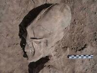 جثث فضائيين: وجد الخبراء بين الحجارة جثتين لرجال فضاء قد بقي منهم القفص الصدري وأجزاء من جمجمة وحطامًا لمركبة فضائية، ومع ذلك فإن مسؤولين من وكالة الفضاء لم يقوموا بالتعليق على ما وجده الباحثون في الصور.
