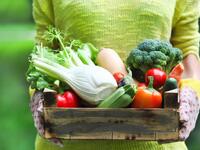 تناول الخضار والسلطات فقط: عدا عن الشعور بالملل فهو أمر غير صحّي، وذلك لتجنب مجموعات غذائية مهمة للجسم كالحبوب الكاملة، مشتقات الحليب قليلة الدسم، اللحوم قليلة الدهون، السمك، الدجاج والبقوليات.