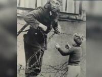 صورة لجندي من الضفة الشرقية يحاول مساعدة طفل من الضفة الغربية لألمانيا على اجتياز جدار برلين، حيث تظهر الصورة لهفة الطفل بالعودة لأهله وخوف الجندي من ضبطه في حالته الإنسانية، والذي كان لديه تعليمات آنذاك بقتل متسلقي الجدار.