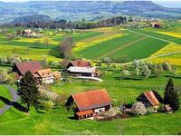 وفي المركز الرابع جاءت نيوزيلندا، وقد احتلت المركز الأول في مؤشر رأس المال الاجتماعي بسبب الروابط الاجتماعية القوية، وتم تصنيفها على أنها أكثر الدول غير الأوروبية ازدهارا.