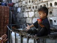 A Palestinian boy eats a tomato at an impoverished neighbourhood in Gaza City on July 4, 2019.  MOHAMMED ABED / AFP
