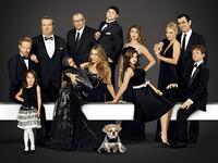 Modern Family: بدأ بثه في 23 سبتمبر2009، وتدور أحداثه حول "جاي بريتشيت" وعائلته الكبيرة التي تعيش في إحدى ضواحي لوس أنجلوس. تجدد المسلسل لعشرة مواسم عرض آخرها في سبتمبر 2018، وأعلن في فبراير 2019 عن تجدده للموسم الحادي عشر والأخير.