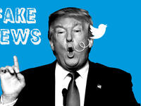 2017: عبارة "أخبار وهمية / Fake News" وهي عبارة استخدمها الرئيس الأمريكي "ترامب". ووصف قاموس "كولنز" هذه العبارة بأنها "غالباً ما تنشر المعلومات المثيرة تحت غطاء التقارير الإخبارية".