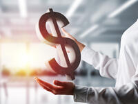 The US Dollar ($)