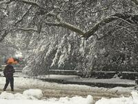 Heavy Snowfall in India Closes Highways and Cancels Flights