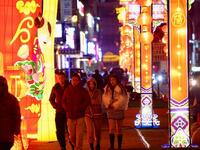 Lantern Festival Celebrations Wrap-up Lunar New Year