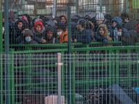 Families, Civilians Make Mass Exodus Out of Ukraine
