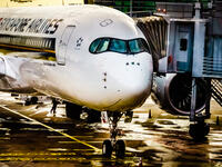 2. Singapore Airlines: Singapore Airlines Limited is the flag carrier airline of Singapore with its hub at Singapore Changi Airport. It is one of the most respected travel brands around the world. Flying one of the youngest aircraft fleets in the world to destinations spanning a network spread over six continents.