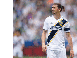 زلاتان إبراهيموفيتش