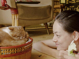 Rent-a-Cat at Cinema Akil