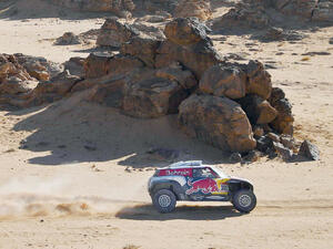 جانب من الفعاليات