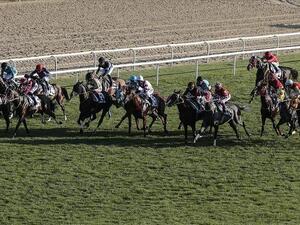 Dubai World Cup is world's richest purse horse racing event with $12 million (Photo: AA)