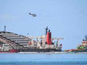 These Are the Japanese Firms Behind Mauritius Oil-Leak Ship