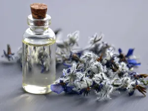 ماذا تعرفين عن فوائد الزيوت العطرية واستخداماتها؟