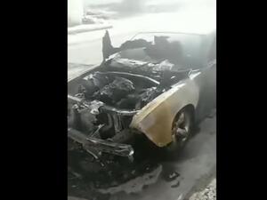 The woman can be heard pleading authorities to punish the perpetrator [YouTube]