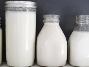 ما الفرق بين حليب الماعز وحليب البقر؟