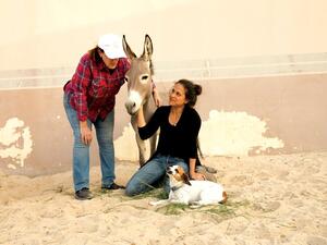 Dana Algosaibi tends to some of the animals she has rescued. (Photo supplied/ Arab News)