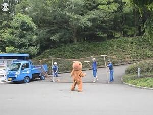 Hilarious footage shows Japanese zookeepers preparing for a lion escape - by chasing a man in a lion costume. (Daily Mail)