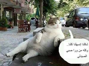 إسهال 