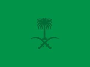 Green is the colour of the Saudi flag, chosen as it has historical significance in Islam. (Twitter)
