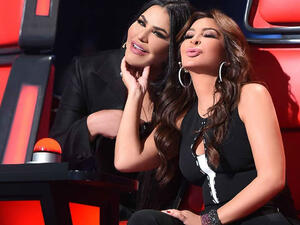 Elissa apologized for participating in the new version Source mbcthevoiceinsta Instagram