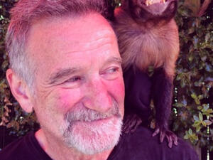 Robin Williams died due to suicide in August of 2014 at the age of 63. Robin Williams