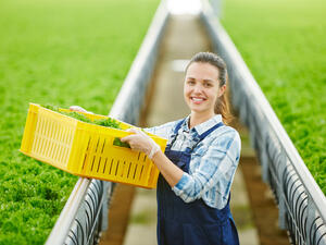 (Shutterstock/ File Photo)