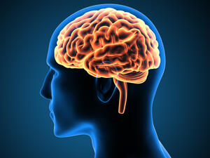 (Shutterstock/ File Photo)