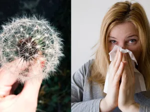 5 زيوت أساسية للتخلص من الحساسية