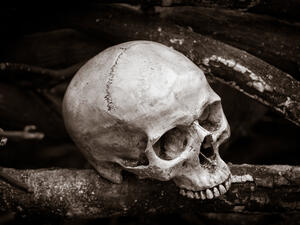 (Shutterstock/ File Photo)