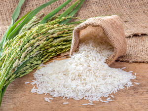 (Shutterstock/ File Photo)