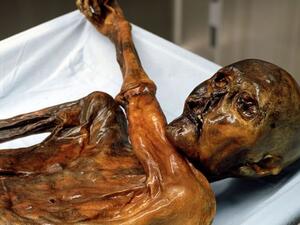 Researchers have identified all 61 tattoos on Iceman, a 5,300-year-old mummy discovered in a glacier in 1991 (Twitter)