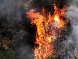 Fire takes out forests in the mountainous area that flank Damour river near the village of Meshref in Lebanon's Shouf mountains, southeast of the capital Beirut, on October 15, 2019. Flames devoured large swaths of land in several Lebanese and Syrian regions. The outbreak coincided with high temperatures and strong winds, according to the official media in both countries. JOSEPH EID / AFP