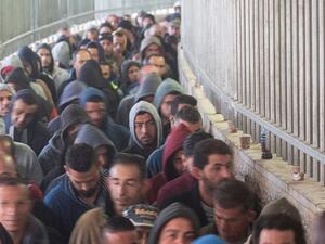 Palestinian labourers (Twitter)