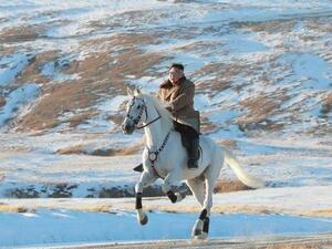Well these pics of Kim Jong Un scaling Paektusan on a white horse (Twitter)