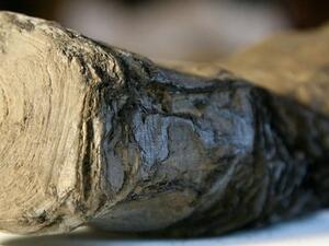 Ancient Papyrus Scrolls  (Twitter)