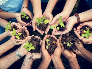 (Shutterstock/ File Photo)